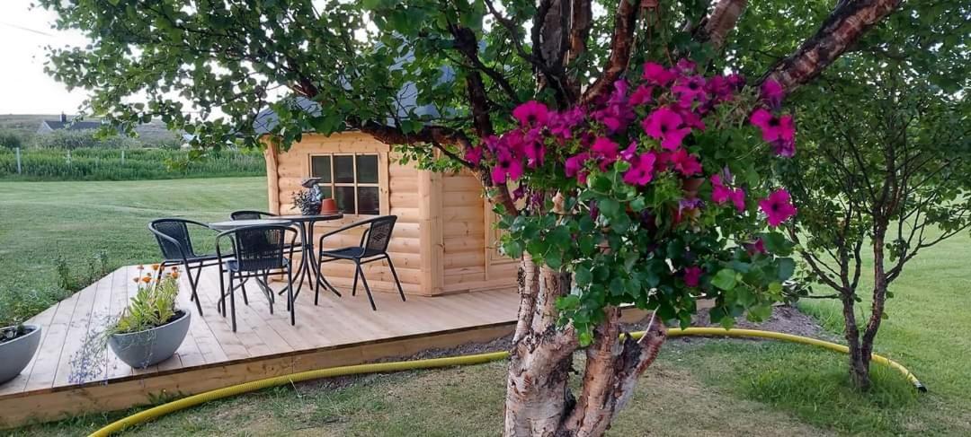 Varjjatgeainu Apartment Nesseby Varangerbotn Dış mekan fotoğraf